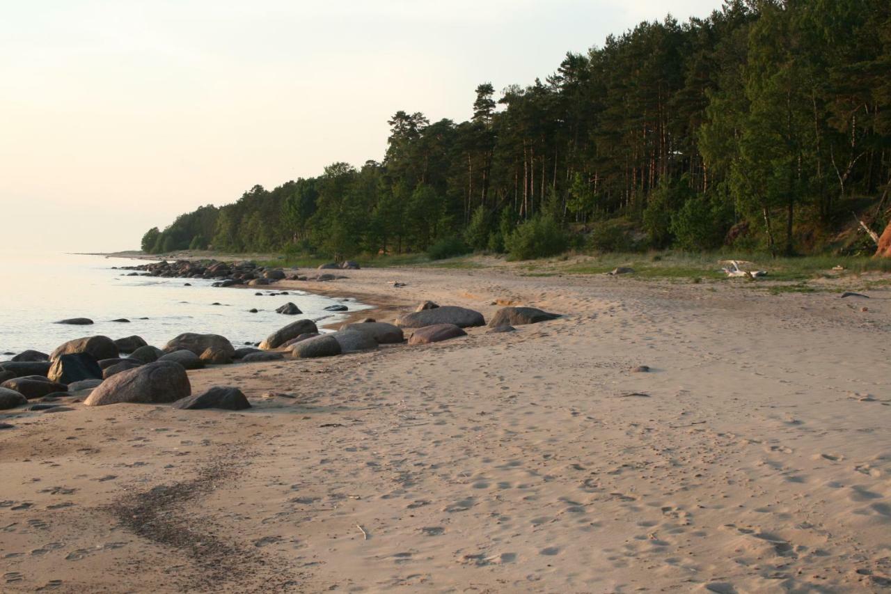 Villa Jaunzemji Dzeņi Esterno foto